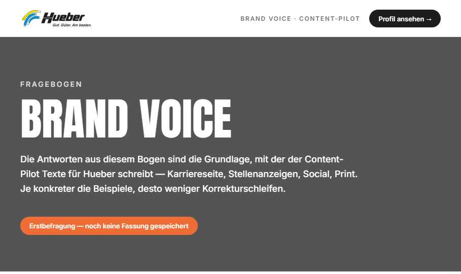 Vorschau Brand-Voice-Fragebogen